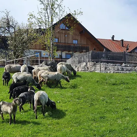 Bramsauerhof * Faistenau