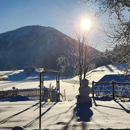 Bramsauerhof 公寓 芬斯特诺