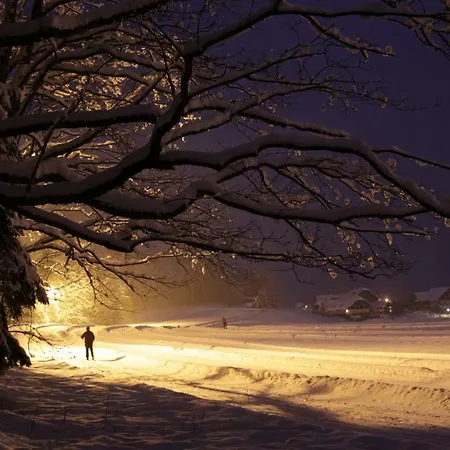 Bramsauerhof * Faistenau