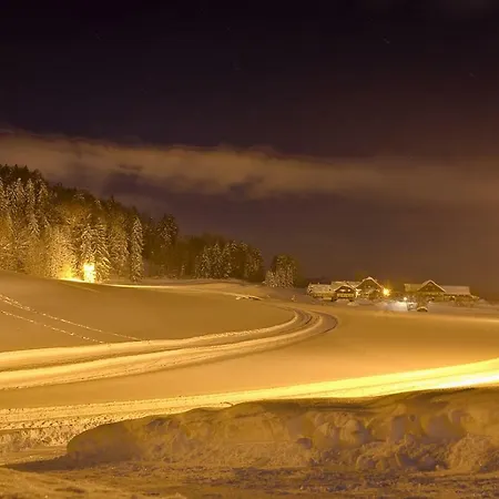 Bramsauerhof Apartment *