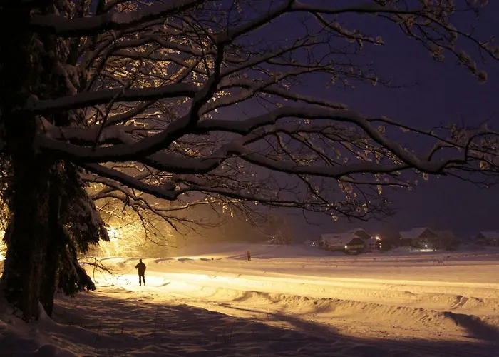 Bramsauerhof * Faistenau